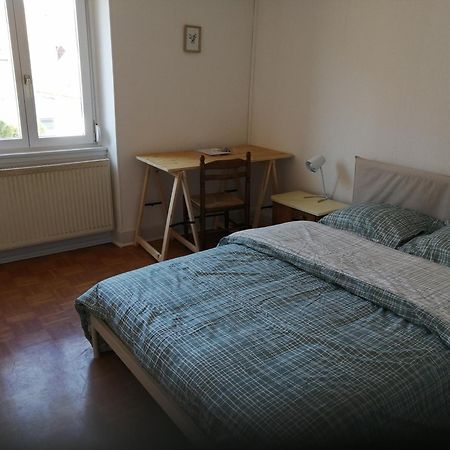 Appartement Entier, Proche Tram-Train Et Commodites, Parking Gratuit Mulhouse Exterior foto
