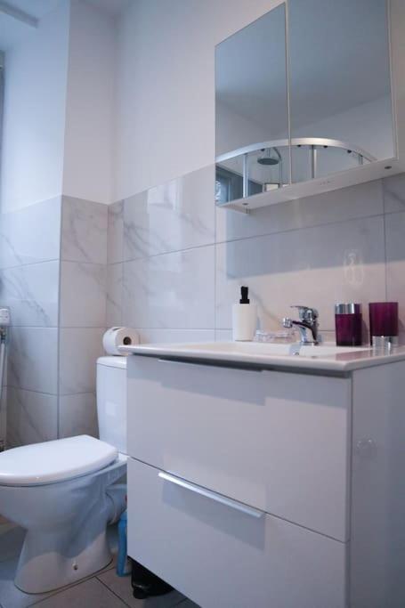 Appartement Entier, Proche Tram-Train Et Commodites, Parking Gratuit Mulhouse Exterior foto