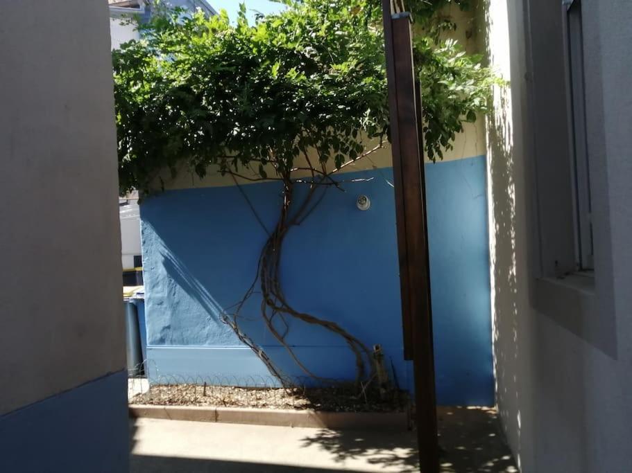 Appartement Entier, Proche Tram-Train Et Commodites, Parking Gratuit Mulhouse Exterior foto